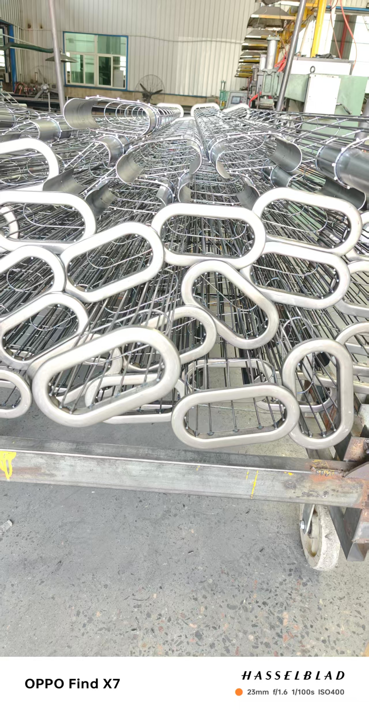 南皮椭圆骨架